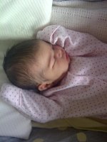 Bradford-20110707-00034.jpg