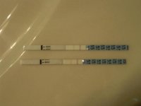 opk3.jpg
