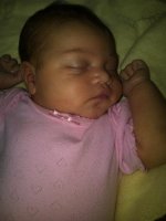 IMG00496-20110619-0822.jpg