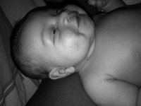 IMG00637-20110704-2057.jpg