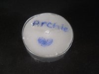 SDC11627.jpg