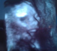 IMAG0047.jpg