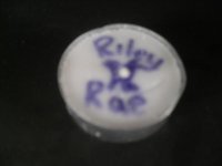 SDC11639.jpg