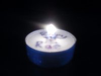 SDC11646.jpg
