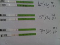 IMG02145-20110712-1919.jpg