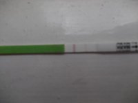 DSCF1160.jpg