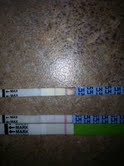 opk pic.jpg