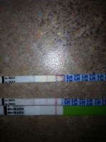 opk pic.jpg