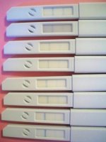 pic2.jpg