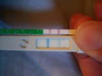 pic2.jpg