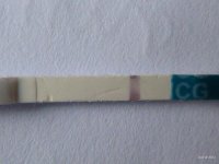 10 dpo.jpg