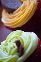 Mint choc chip & chocolate orange cupcakes copy.jpg