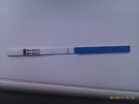 IMAG0298.jpg