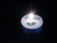 SDC11693.jpg