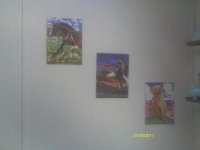 IMAG0058.jpg