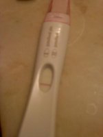 FRER.jpg