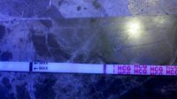 10dpo.jpg