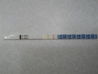 7-19-11.jpg