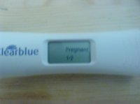 preg test six.jpg