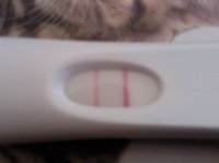 Opk dark.jpg