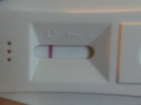 IMG00569-20110227-1219.jpg