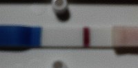 test.jpg