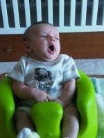 IMG00730-20110720-1646.jpg
