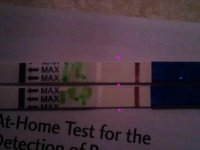 12 dpo edited.jpg