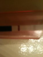 brookephone 013.jpg