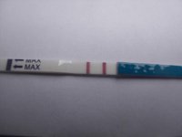 17dpo in afternoon 001.jpg