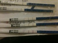 IMG_0532[1].jpg