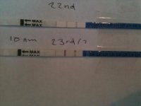 IMG_0535[2].jpg