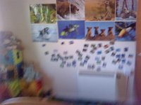 2011-07-23 08.55.42.jpg