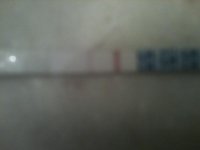 opk 7-24.jpg