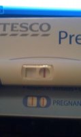 14dpo.jpg