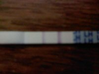 280499_241933165827566_100000326530971_874621_7114656_o.jpg