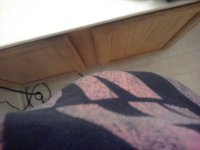 where did my feet go.jpeg