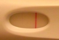 pic4.jpg