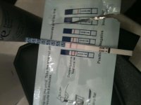 opk 7-27 getting darker.jpg