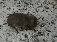 IMG00026-20101222-1257.jpg