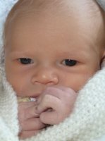 Archie - aged 9 days email.JPG