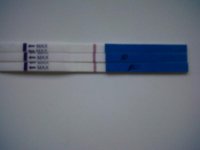 IMG00122-20110730-2041.jpg