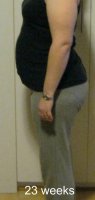 23 week bump cropped.jpg