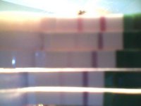 Snapshot_20110731.jpg