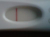 IMG00327-20110731-2039.jpg