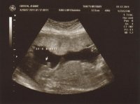 Scan 12.jpg