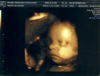 scan0002.jpg