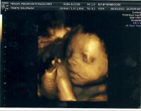scan0010.jpg
