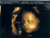 scan0006.jpg