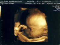 scan0008.jpg